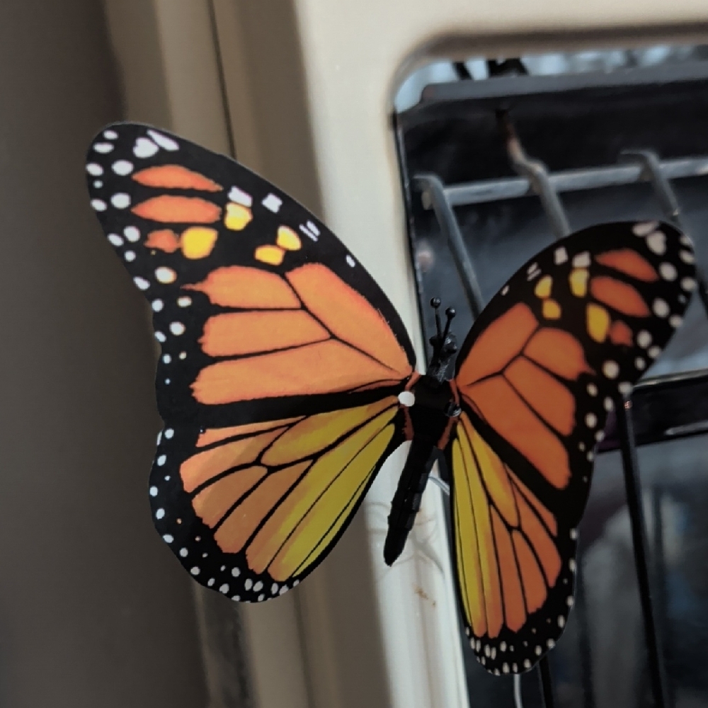 Butterfly Design Decorative Piece